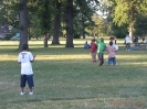 2011 DMAMEA