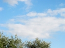 2013 Jamboree_17