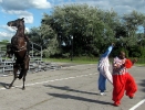 2013 Jamboree_24