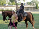 2012 Detroit Metro Area Musicians and Entertainers Association_12