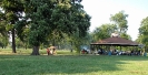 2012 Detroit Metro Area Musicians and Entertainers Association_4