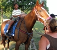 2012 Detroit Metro Area Musicians and Entertainers Association_51