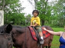 2012 Fun-Efit 1_26
