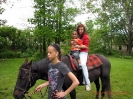 2012 Fun-Efit 1_29