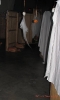 Detroit EM News and Berts Warehouse Theatre Halloween Masquerade_3
