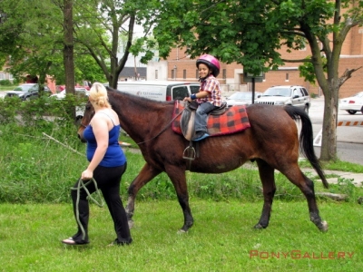 2012 Fun-Efit 1_10