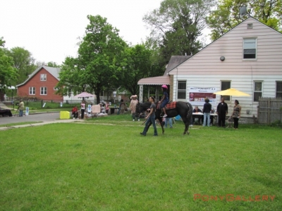 2012 Fun-Efit 1_16