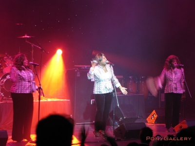 2011 DMA_13