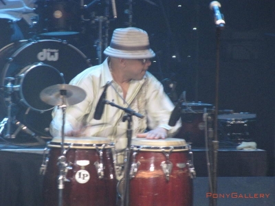2010 DMA_53
