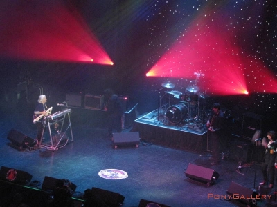 2010 DMA_84