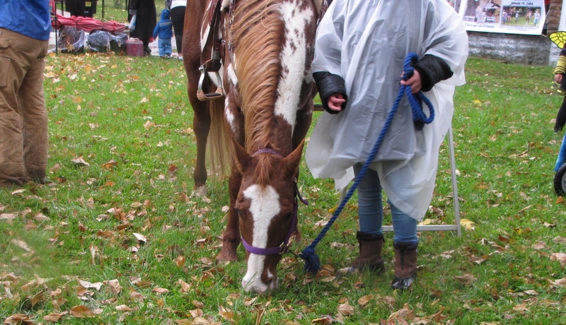 2014 Childrens Festival_107