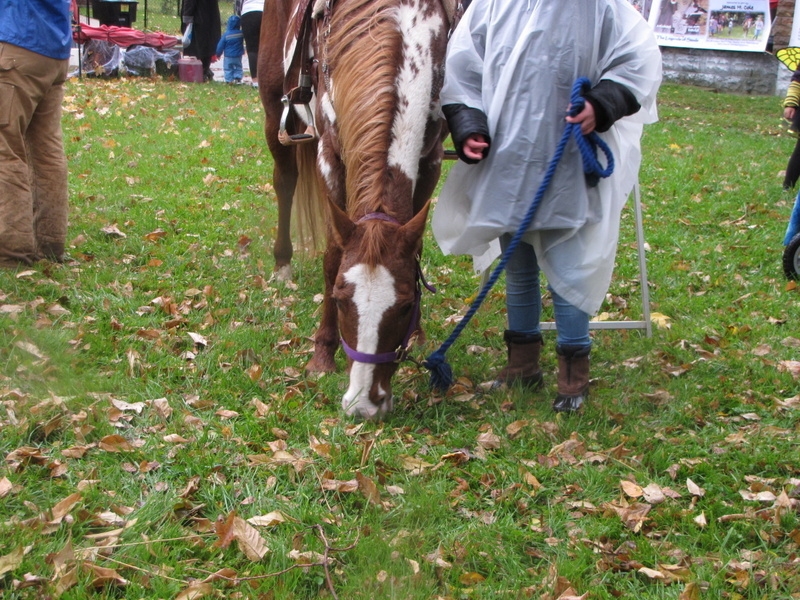 2014 Childrens Festival_158