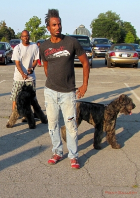 2012 Detroit Metro Area Musicians and Entertainers Association_14